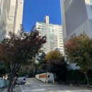 용이동 푸르지오2차아파트 앞(구.용이동 하나로부동산 앞) | [임장] 서대문구 홍제동 (서대문푸르지오센트럴파크, 홍제역해링턴플레이스 외)