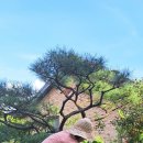 아이조아펜션 이미지