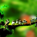 임마누엘 이미지