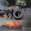 병무농장 이미지