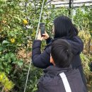 청마농장2 이미지