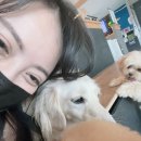 바로나도 수원영통 이미지