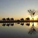 에코리조트 이미지