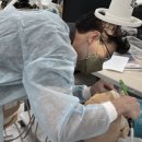 연세우리동네치과의원 이미지