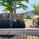 (주)아라마루 이미지