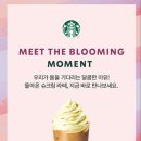 슈크림G