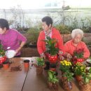 다사농장 이미지