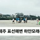 표선리-31 네이버블로그