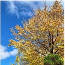 우리로행정사사무소 이미지