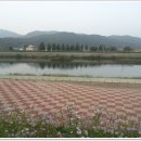 김화초등학교 이미지