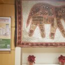 길음메디칼약국 이미지