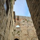 현대인-공존 이미지