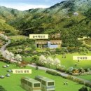 용인자연휴양림1 이미지