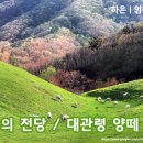 피카소 목장 이미지