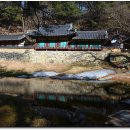 논동천 Daum카페