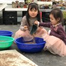 승의농장 이미지