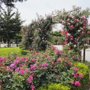 배산체육공원 인라인장 이미지