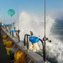 팔포항 | 사천 삼천포 팔포항 문어낚시 야간 낚시 후기