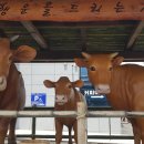 농협 앞 이미지