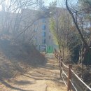 남산 유아숲체험원 이미지