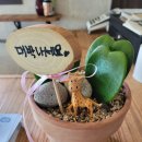 구송동길 이미지