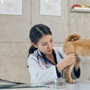 치료멍멍동물병원 이미지