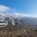 달구벌공인중개사사무소 이미지