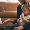 강아지집 이미지