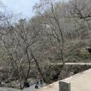 남도삼백리길(9코스) | 남도삼백리길 9코스 천년불심길
