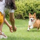 (주)우리메디텍 이미지