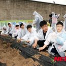 전주전일초등학교 이미지