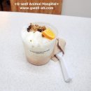 청주지웰동물병원 이미지