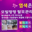 천연헤어염색전문샵
