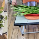 서울노원초등학교 이미지