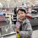 2관세이브학원 | [d+1788,2820] 호이브로의 평범한 일상들, 겨울왕국 뮤지컬 솔직후기