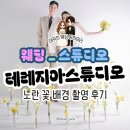 노란 | [WD_스튜디오] 테레지아 스튜디오 노란 꽃 배경 촬영 후기