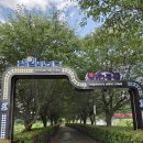 바이크스캔 | 경남 김해 가볼만한곳 아이랑 가볼만한곳 여름 필수 코스 와인동굴 낙동강 레일바이크 내돈내산 후기