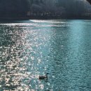 지에스25 후포센터점 | 잠실팝업: [박뚜기 매새떡]후기