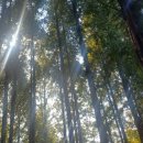 세종공원 이미지