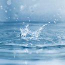 순수바이오연구소 이미지