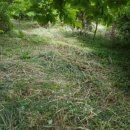 길복농장 이미지