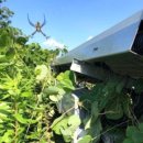 MS태양광발전소 이미지