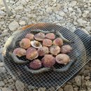 광탄유원지 | 양평 광탄유원지 캠핑 후기