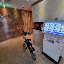 솔무인텔 이미지