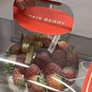마곡 딸기케이크 맛집 :: 프레베리 케이크 frais berry
