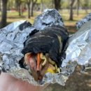 나리상회 이미지