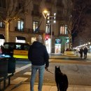 중앙유통농장 이미지