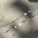 방배로32길 55 이미지