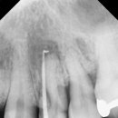 자연이바른치과의원 이미지