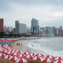 전*철 - 안양시 동안구 평촌동 | 전*철
